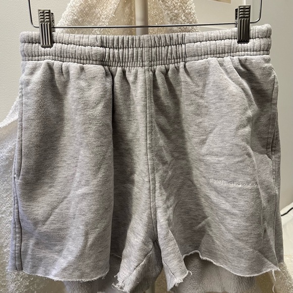 Pants - Gray Women's sweat shorts